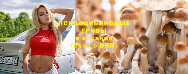 гашишное масло Новозыбков