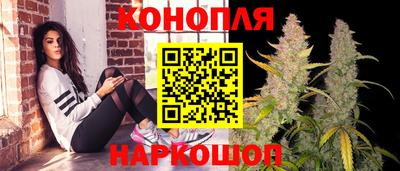 apvp Гай