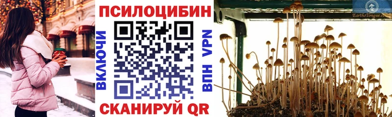 Галлюциногенные грибы Magic Shrooms  Рязань 
