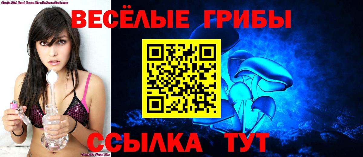 Псилоцибиновые грибы мицелий Рязань